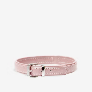 Collares de perros