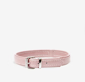 Collares de perros