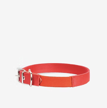 Collares de perros