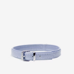Collares para perros